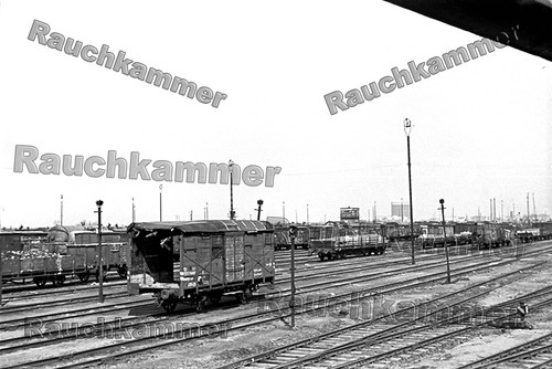 Fotoabzug 10x15 dr - 10x15,